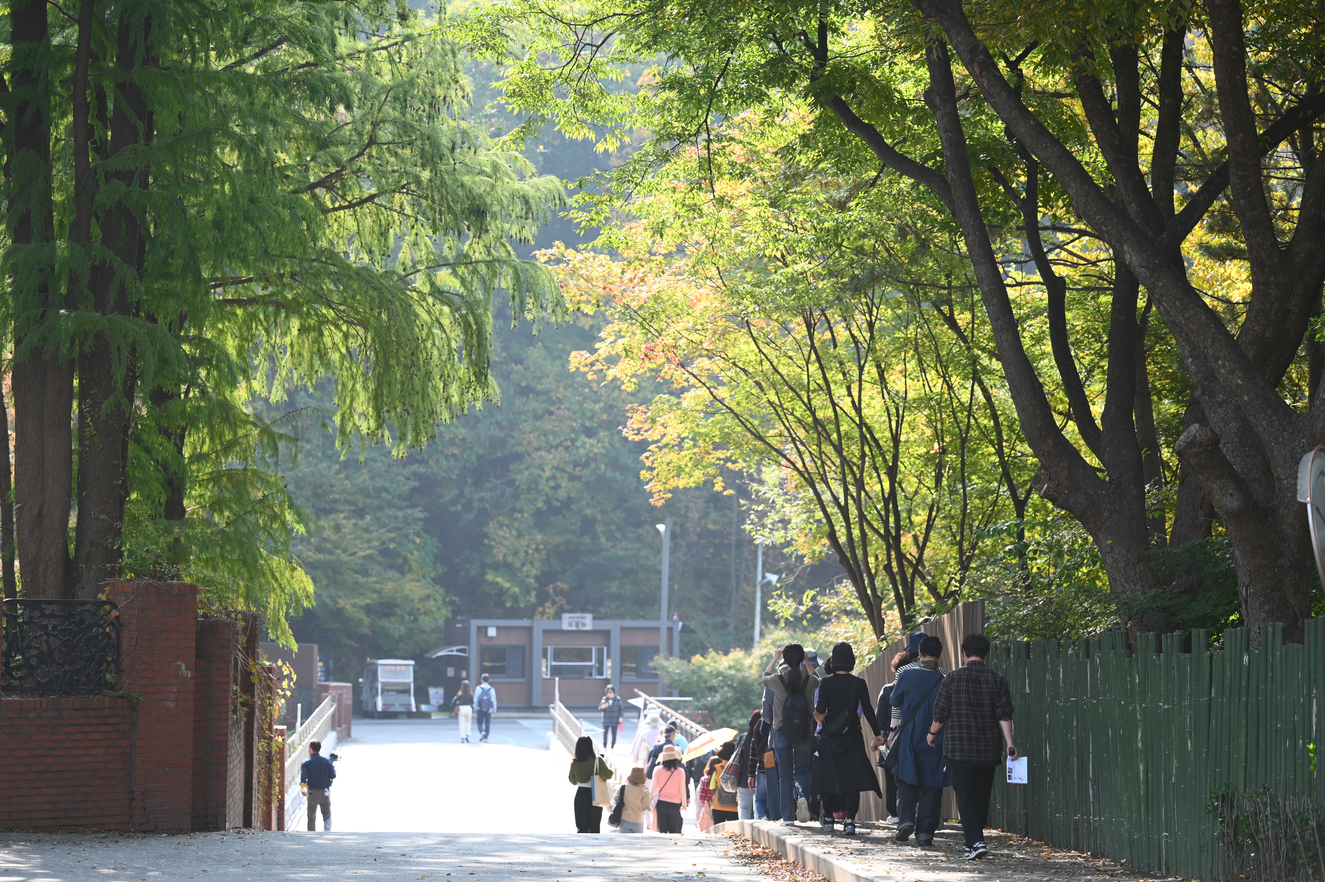 2023 걷기순례명상 (231025 서울동물원 둘레길)