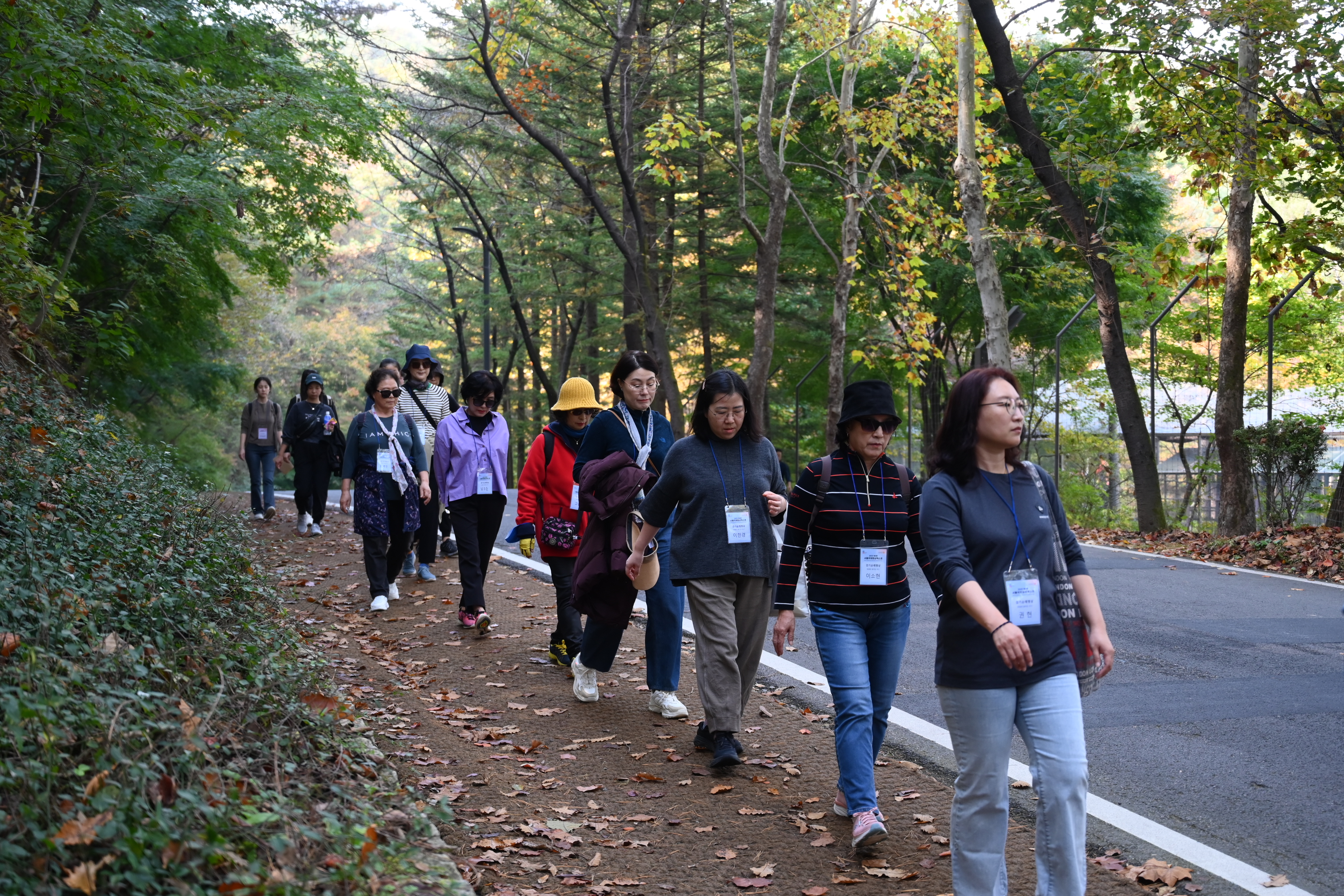 2023 걷기순례명상 (231025 서울동물원 둘레길)