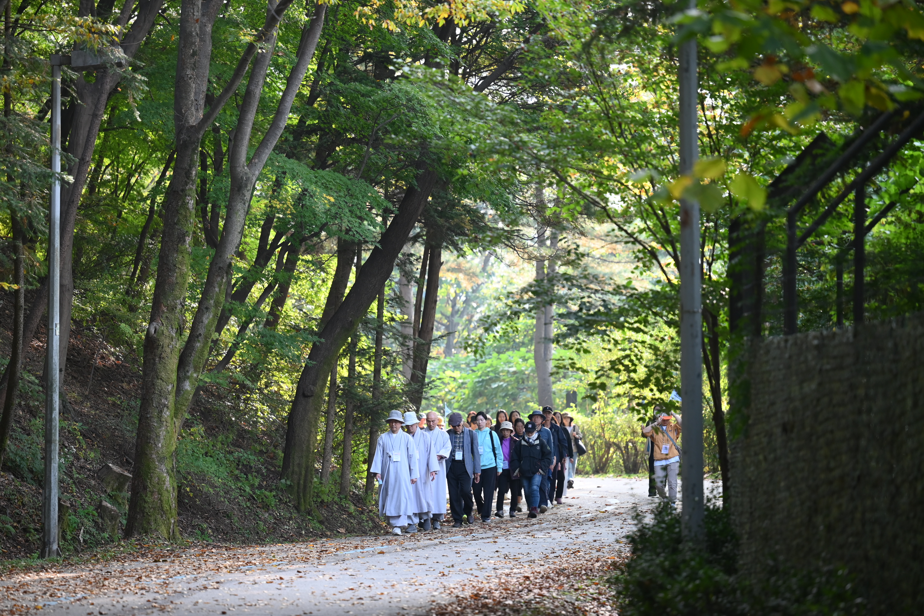 2023 걷기순례명상 (231025 서울동물원 둘레길)