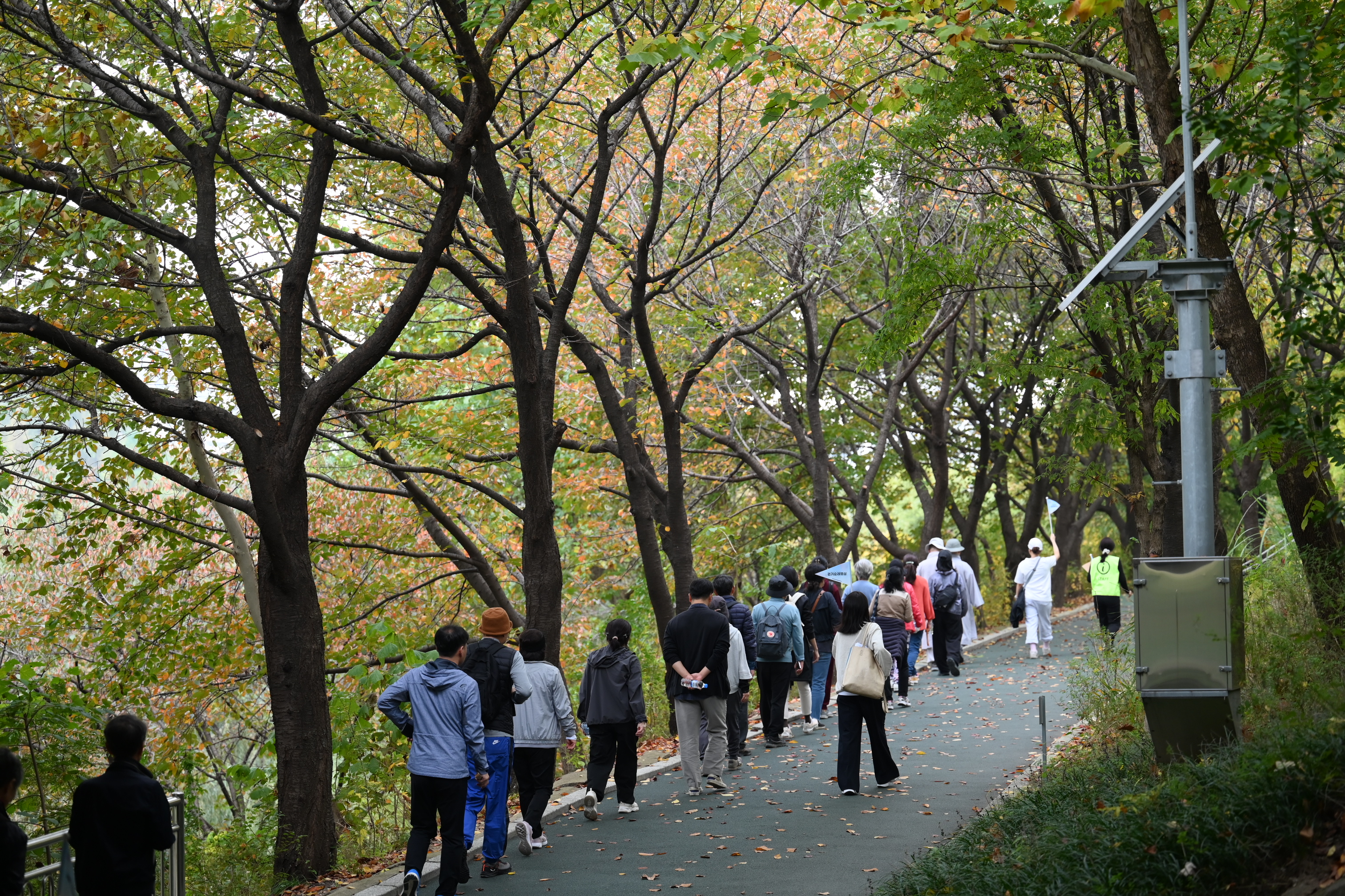 2023 걷기순례명상 (231026 탄천순례길)